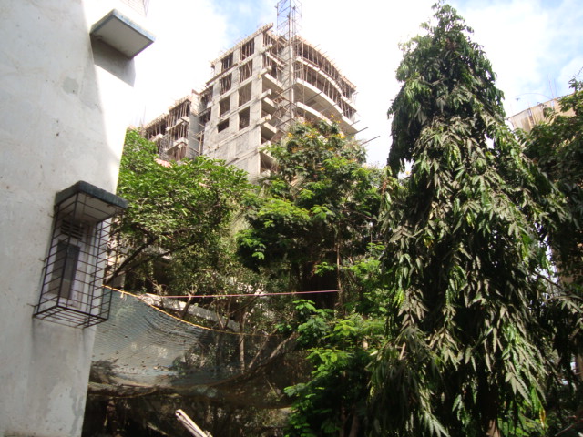 Flat on rent in Ajmera Pristine, Borivali West