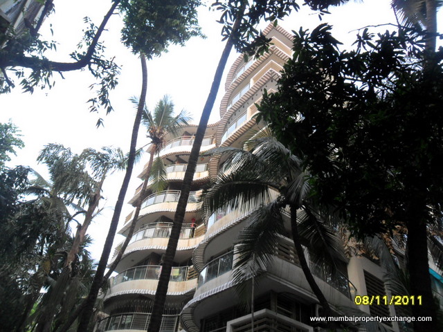 Silicon Valley, Santacruz West by Options Builders