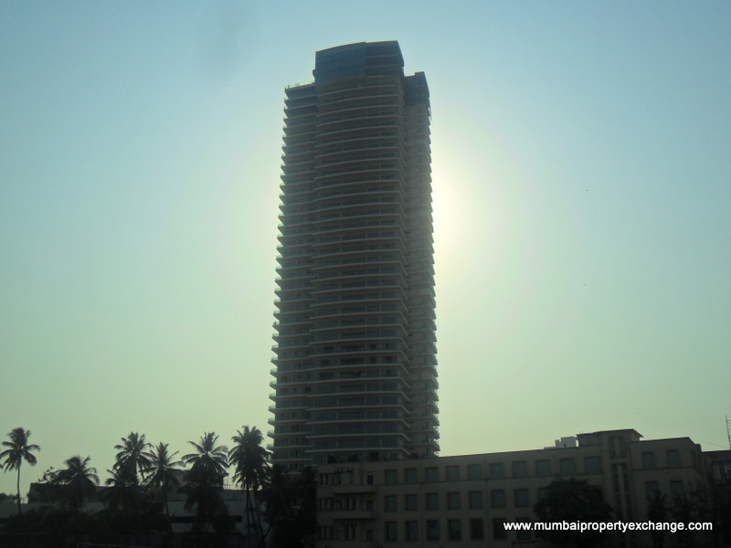 Springs Elevation Image 4