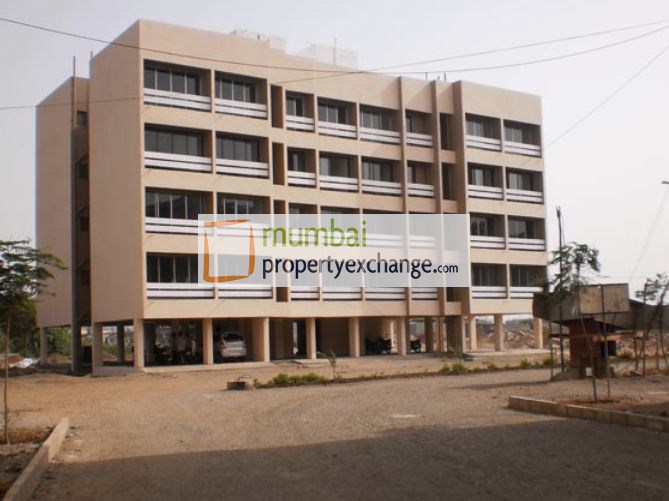 Enkay Ready Sold Out