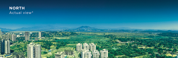 North View from Orion