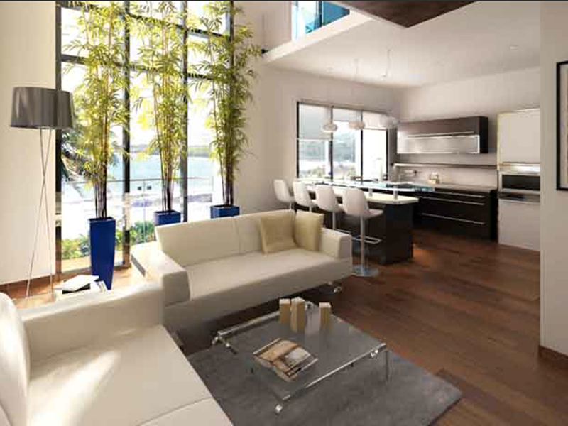 1 BHK Living room Duplex