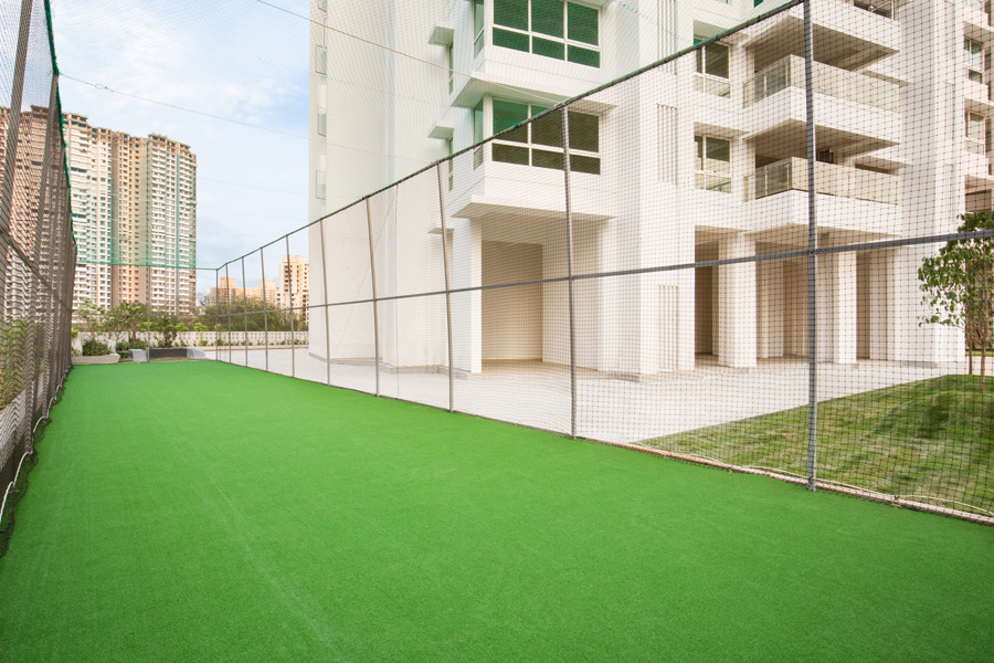 Ashford Royale Box Cricket Pitch