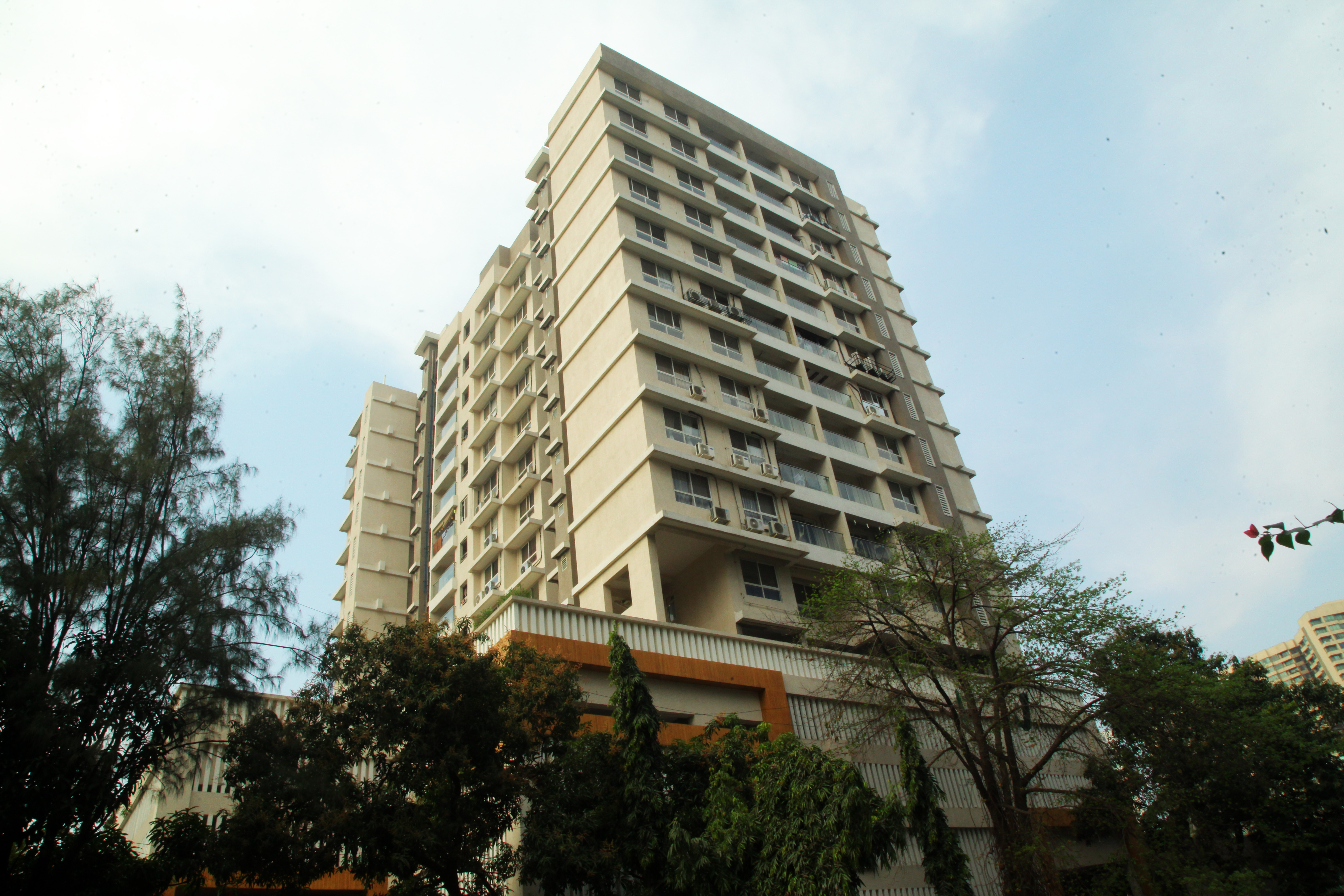 Lily White Elevation Image