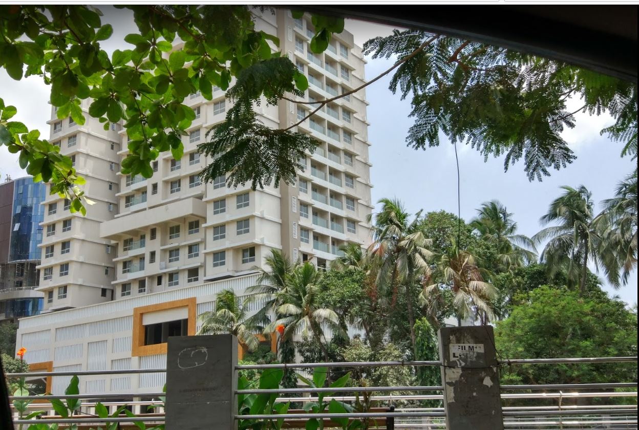 Lily White Elevation Image