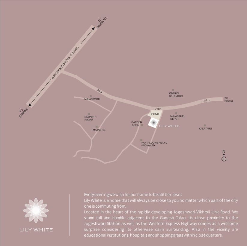 Lily White Location Connectivity