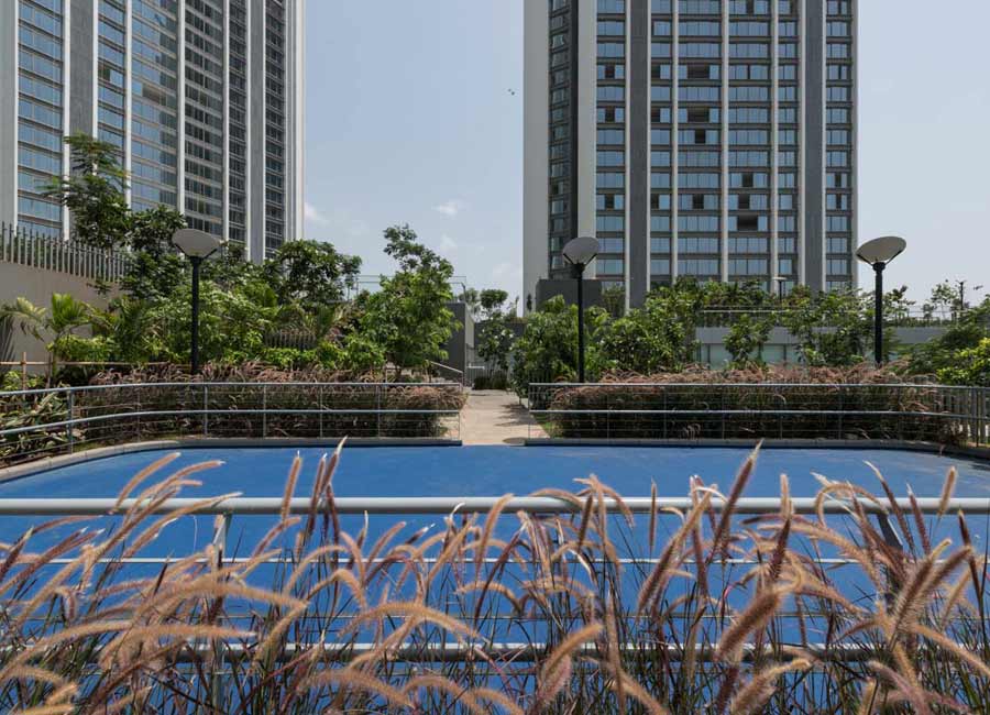 Esquire Skating Ring