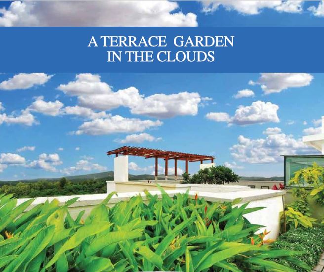 5670 Oth Hillcrest Terrace Garden Actual Image - Hillcrest, Andheri East