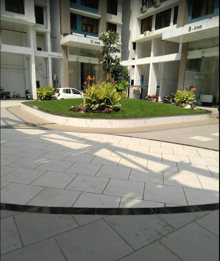 Blue Fortuna Image-7