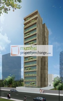 The Amazing by Sippy Housing