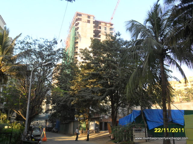 Buliding Status  Nov 11