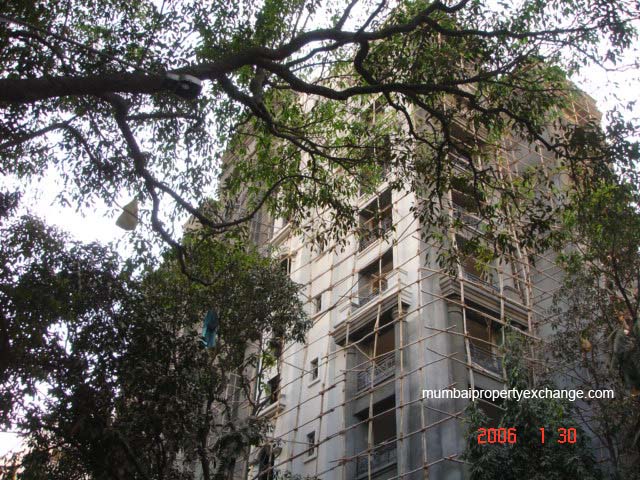 Flat on rent in Ekta Exotique, Chembur