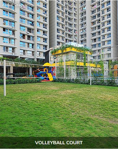 Royal Oasis Volley Ball Court