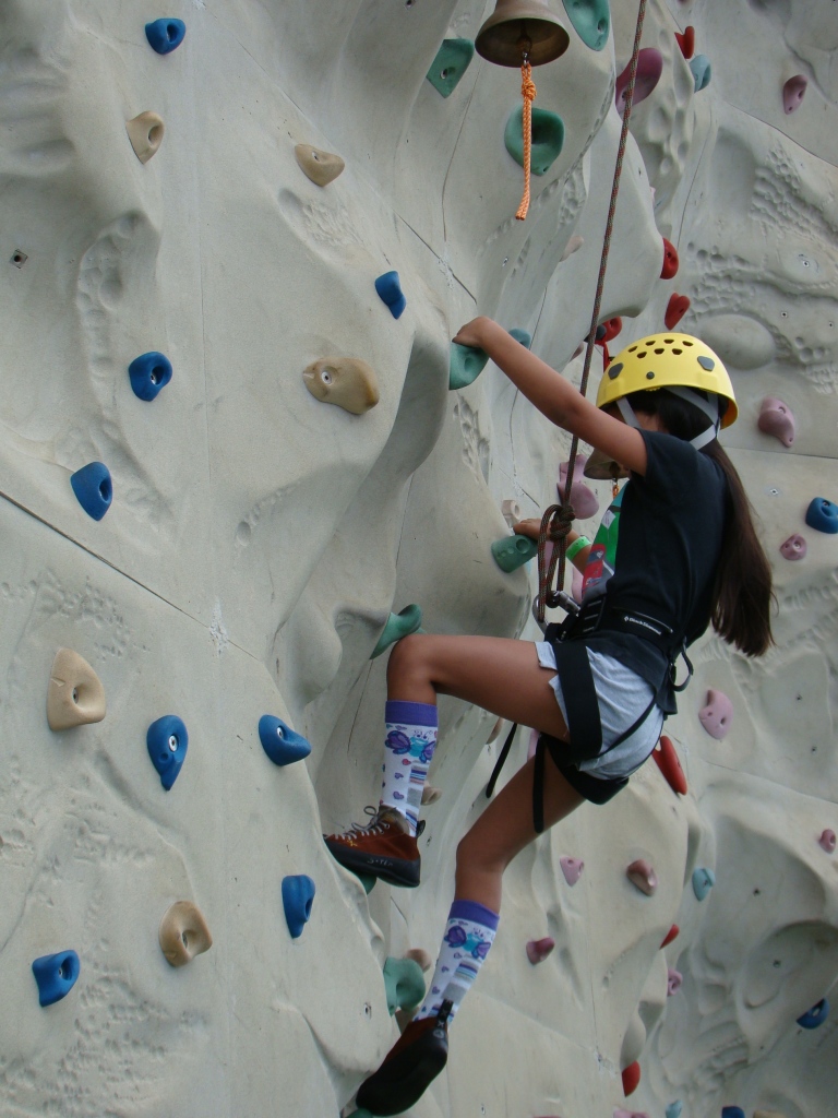 Avant Garde Rock-Climbing-Wall