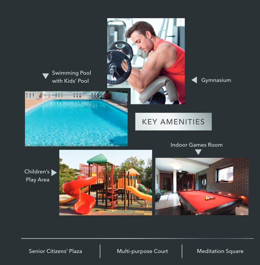 Wadhwa Elite-Platina Amenities Image