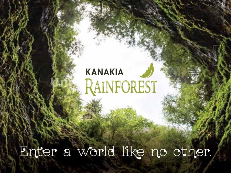 Kanakia Rainforest Banner1