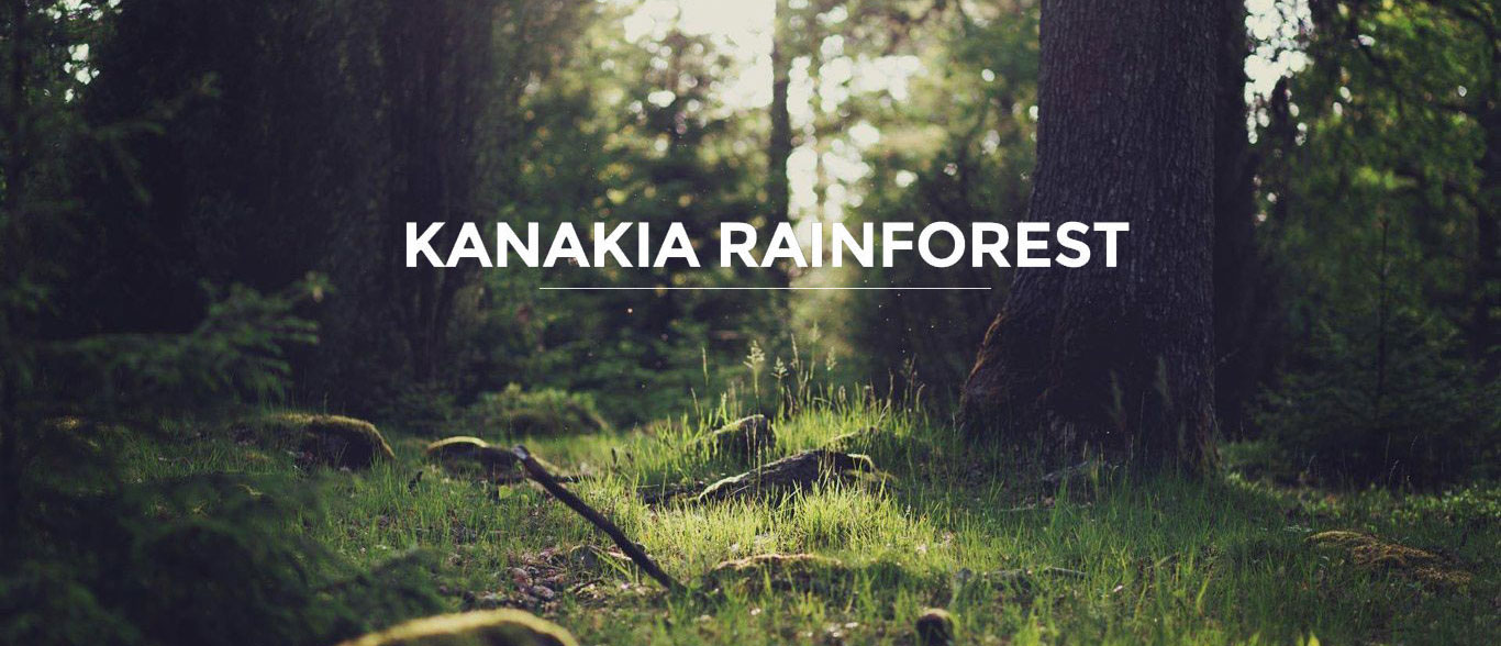 Kanakia Rainforest Banner2