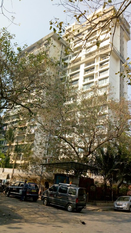 1 BHK Semi-Furnished in Midtown Apartment , Worli