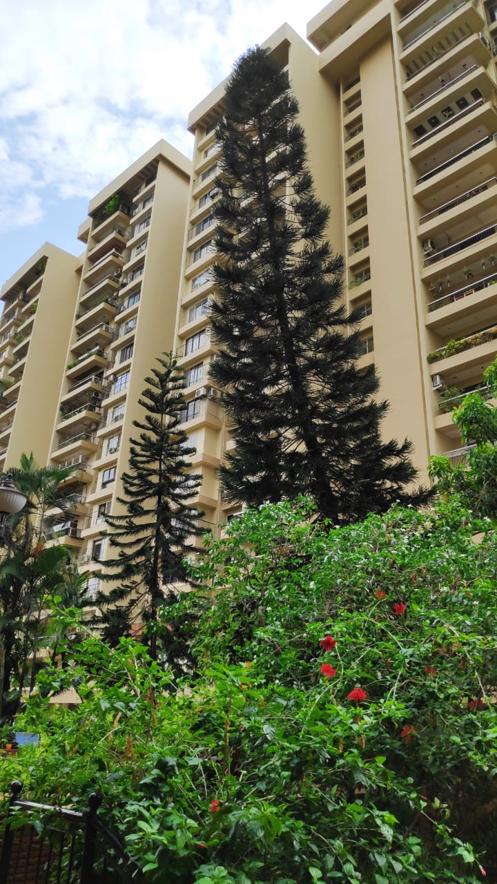 3 BHK Semi-Furnished in Green Acres, Andheri West - Photo 5