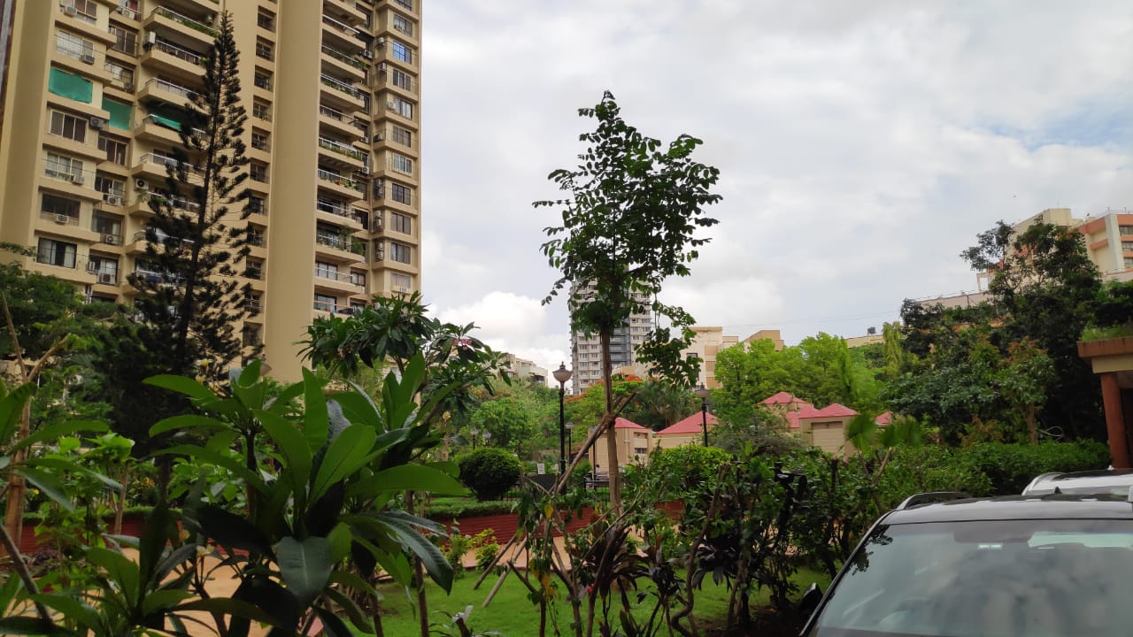 3 BHK Semi-Furnished in Green Acres, Andheri West - Photo 6