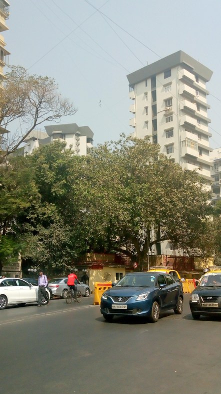 2 BHK Semi-Furnished in Diamond Court , Nepeansea Road