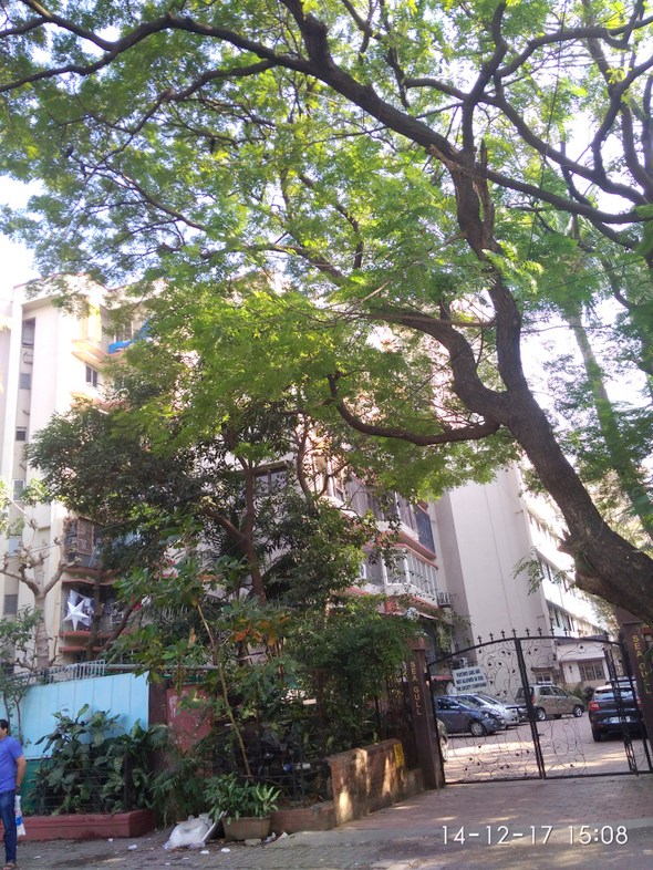 2 BHK Fully Furnished in Sea Gull, Bandra West