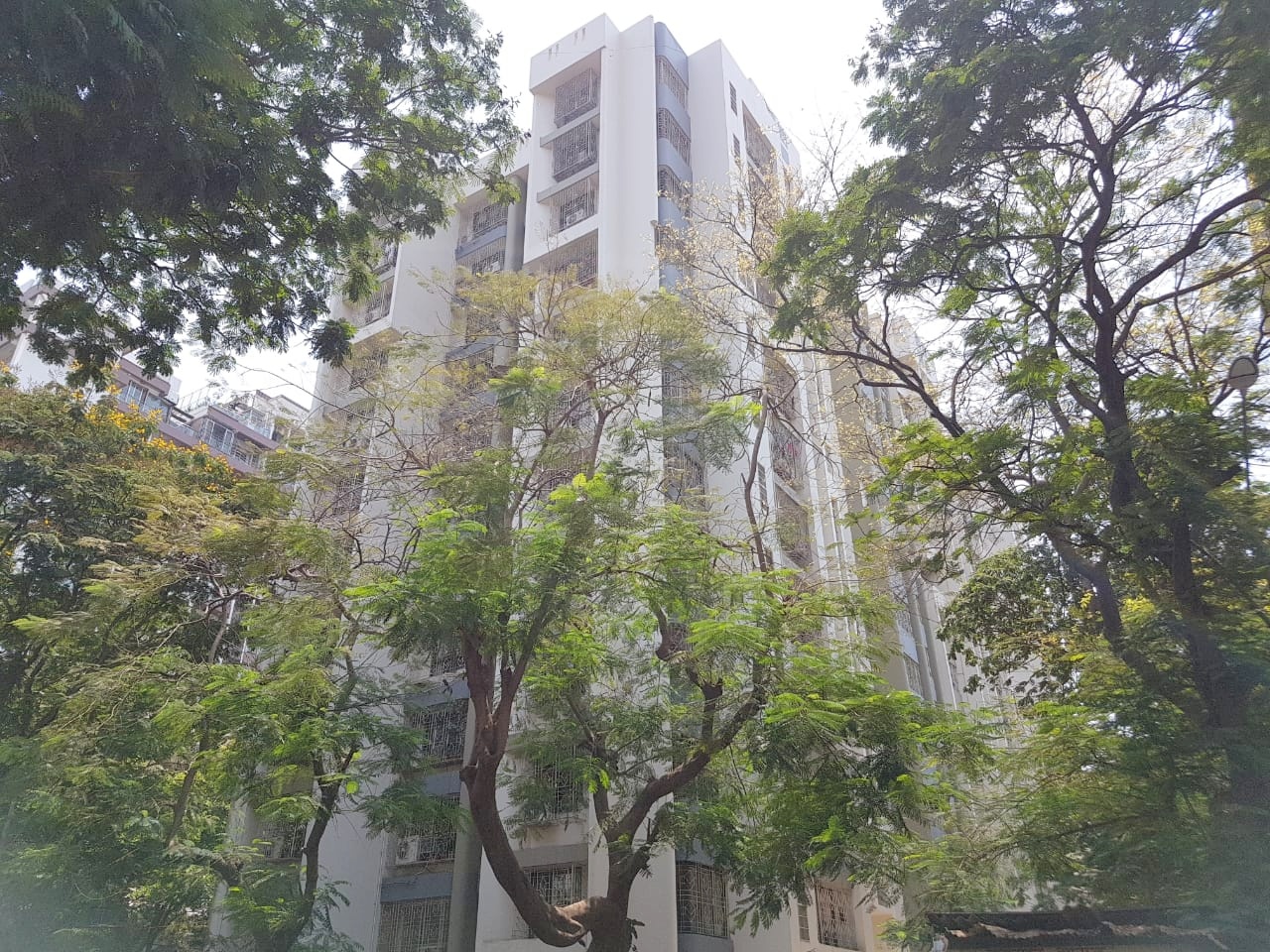 3 BHK Semi-Furnished in Gulmohar Apartment, Andheri West