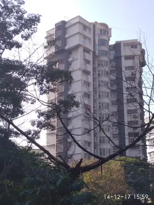 Breezy Heights