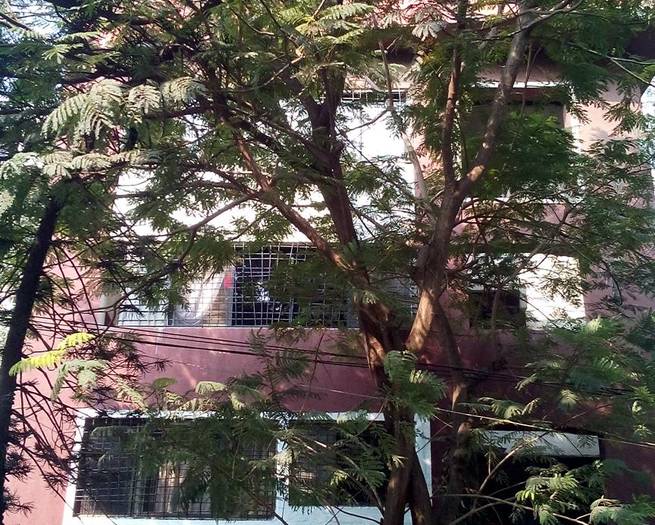 1 Semi-Furnished in Lata Soni , Bandra West