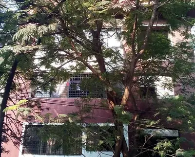 Lata Soni