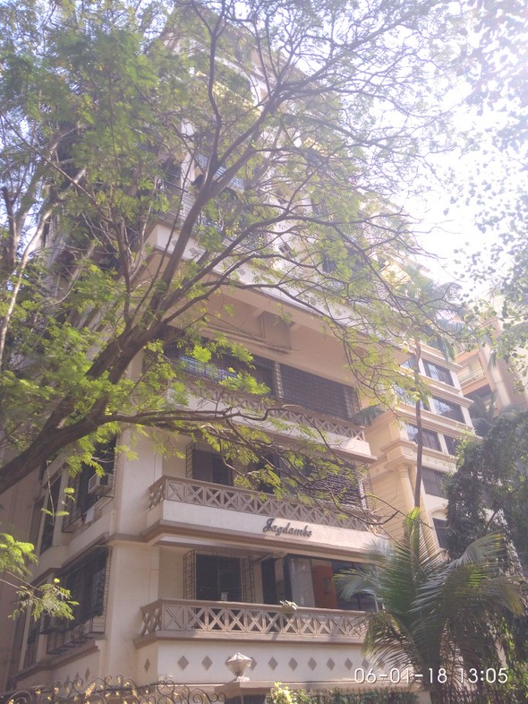 3 BHK in Jagdambe, Khar West