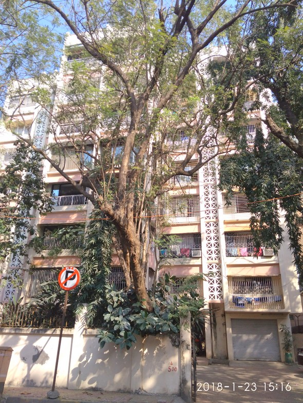 3 Semi-Furnished in Dream Queen , Santacruz West