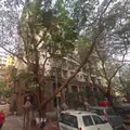 Purvi