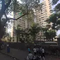Shanaz Building