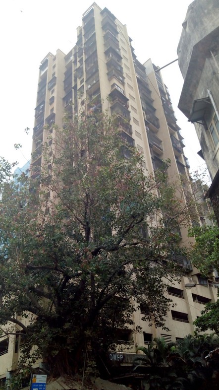 2 BHK Semi-Furnished in Kinjal Tower , Mahalaxmi