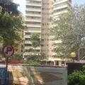 Monalisa CHS