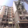 Silver Palm