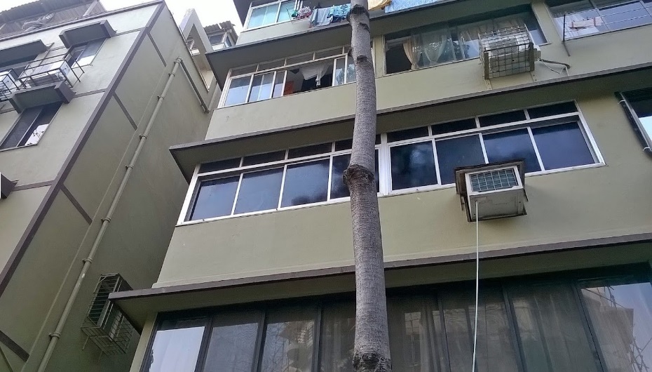 1 BHK Semi-Furnished in Daulat Shirin , Colaba