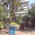 Jolly Bhavan No. 2