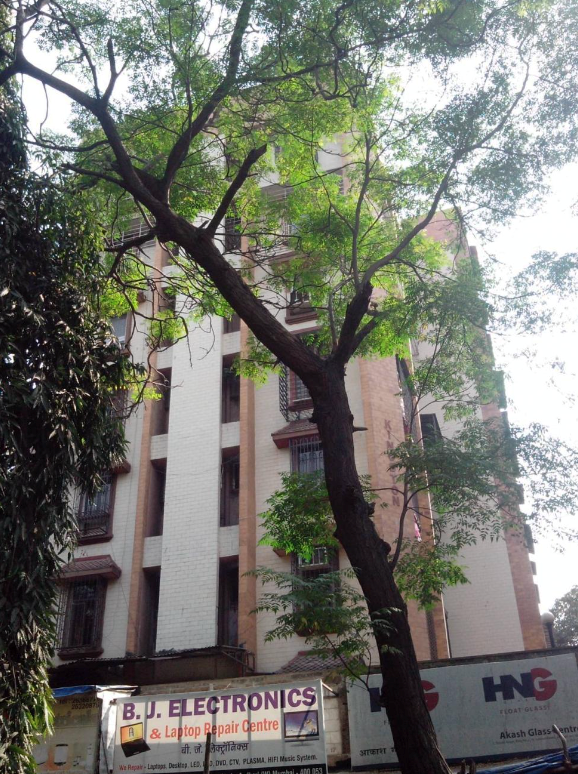1 BHK Fully Furnished in Kingston Apartment , Andheri West
