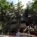 Kushwah Chambers