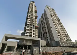 Man Opus