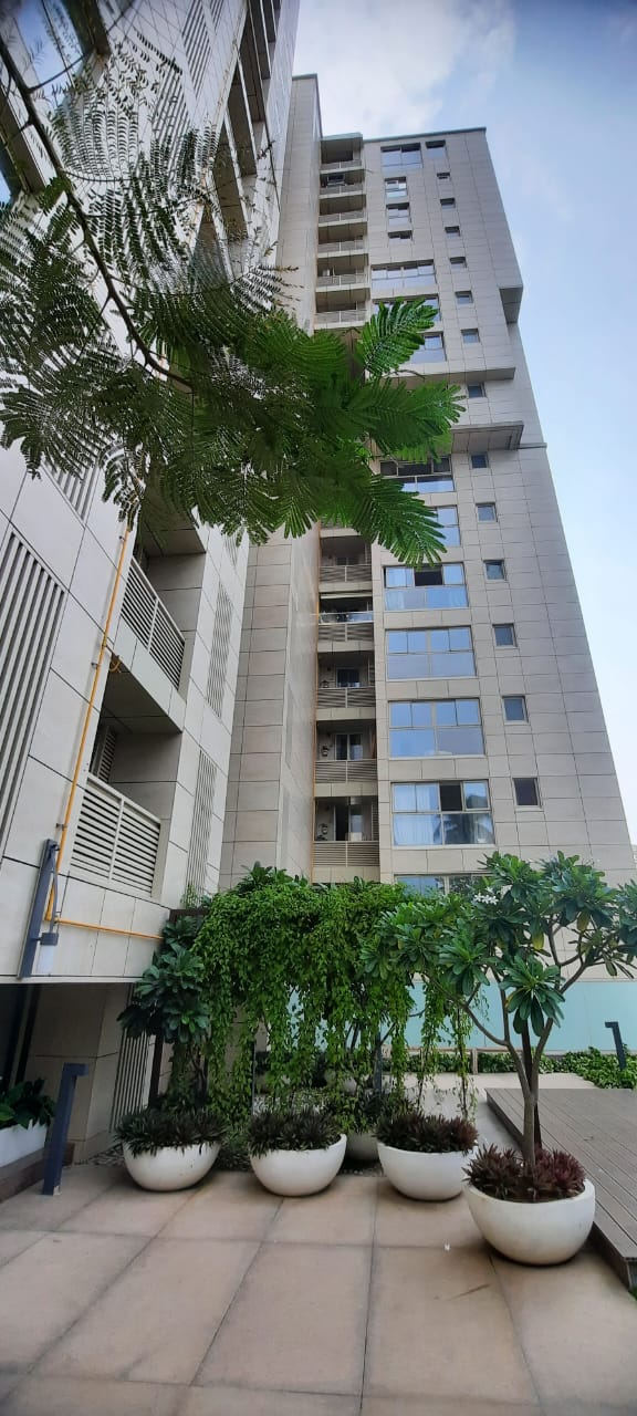 3 Semi-Furnished in Navroze , Bandra West