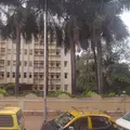 Pharma Search House
