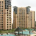 Skyline Oasis