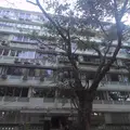 CCI Chambers