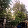 Amit Estate