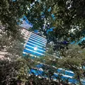 MBC Park