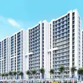 Gulmohar Avenue