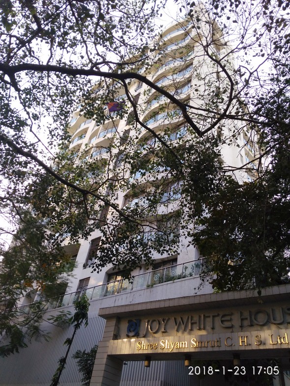 5 Semi-Furnished in Joy White House , Santacruz West